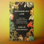 Entangled Life’ by Merlin Sheldrake