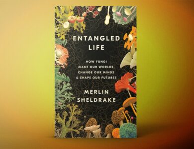 Entangled Life’ by Merlin Sheldrake