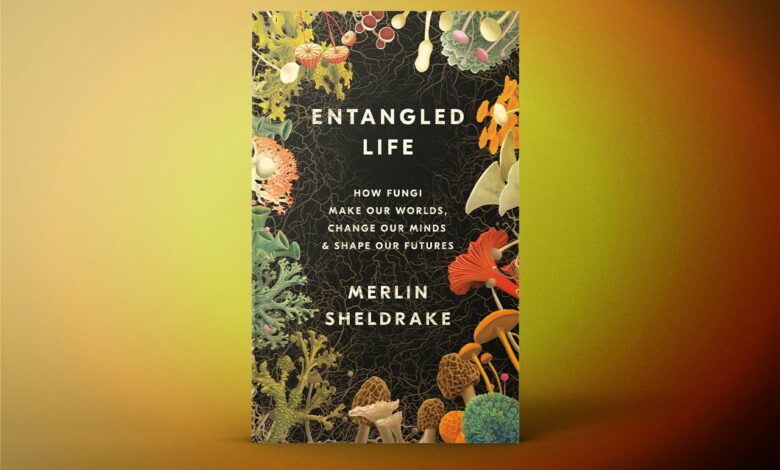 Entangled Life’ by Merlin Sheldrake