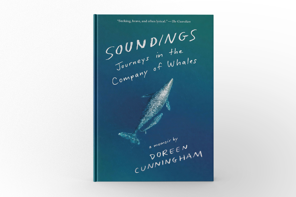 Soundings: Journeys in the Company of Whales